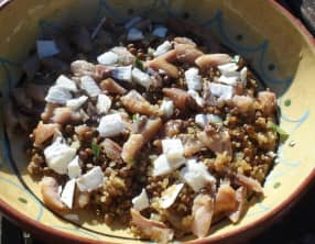 Salade chaud-froid de lentilles et quinoa au haddock