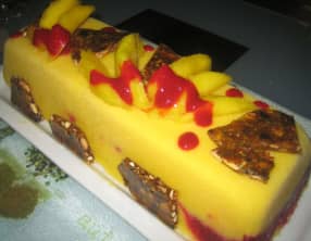 Bûche glacée mangue, framboises et nougatine