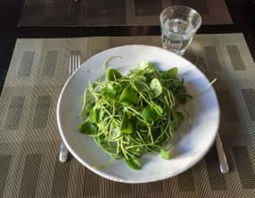 Pourpier d’hiver en salade