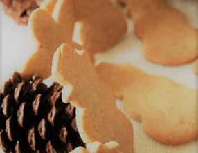 Petits Biscuits au Sucre Bio, aux épices de Noël