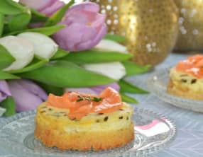 Cheesecake au Saumon Fumé