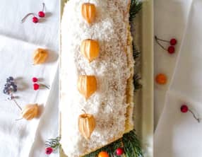 Bûche de Noël kiwi mandarine coco