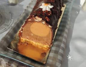 Bûche glacée esquimau café caramel