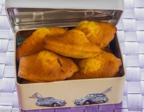 Madeleines aux pépites de chocolat