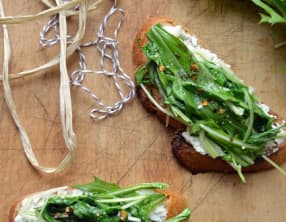 Crostini au fromage et mizuna