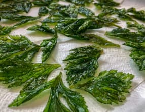 Feuilles de céleri frites