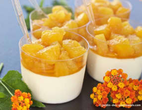 Panna Cotta à l'ananas