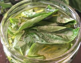 L'huile d'olive au basilic