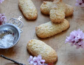 Massepains limousins