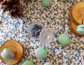 Macarons la vie en Vosges sapin, brimbelle