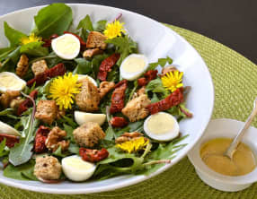 Salade de pissenlits aux oeufs de caille