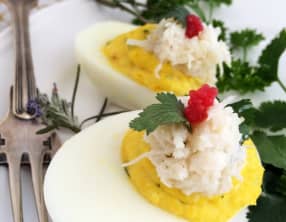 Oeufs mimosas de la mer