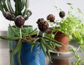 Pop cakes de Pâques