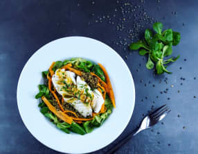 La salade de poisson sur tous les tons