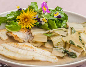 Turbot poêlé aux côtes de blettes