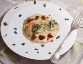 St-Jacques en chapelure d'ail des ours et crème de chou fleur au chorizo