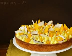 Tart-Ô Citron Coco Mangue