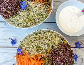 Buddha bowl au quinoa noir et autres saveurs végétales