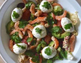 Salade fraîcheur avocat, crevettes, pomelo