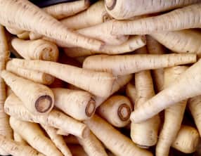 Sauce alcaline au Raifort