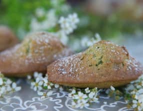 Madeleines légères au thé matcha avec une belle bosse