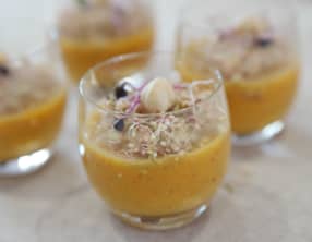 Comment faire germer le Quinoa ?