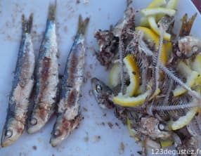 Parce que les Sars dînent à l'huile !