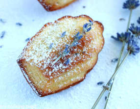 Madeleines au miel et à la lavande