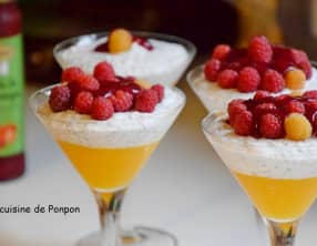 Graines de chia parfumées au lait de coco, mangue et framboises