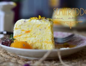 Semifreddo abricot pistache