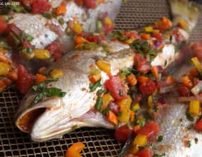 Maigres à la plancha, marinade aux saveurs du sud-ouest