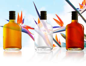 Sauce Chien Martinique Guadeloupe