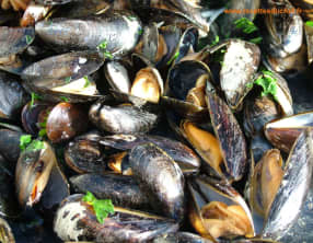 Moules à la plancha du barbecue