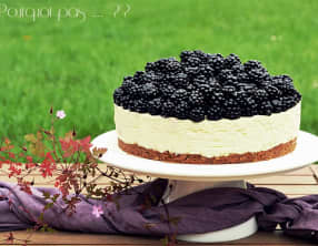 Gat-Ô mûres sauvages et fromage frais citron