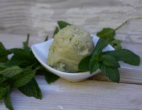 Sorbet à la menthe