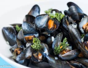 Moules marinières