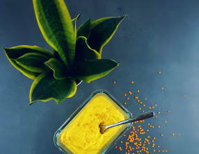 Purée onctueuse de panais, lentilles corail et crème de coco