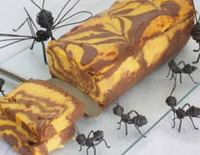 Gâteau marbré de butternut