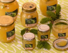 Gelée de bourgeons de sapin