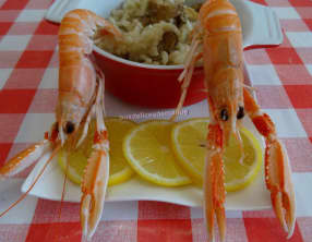 Risotto aux cèpes et langoustines