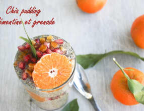 Chia pudding aux clémentines et à la grenade