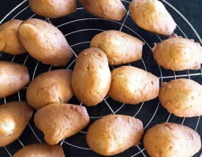 Madeleines à la fleur d’oranger