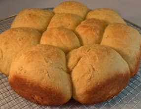 Dinner Rolls