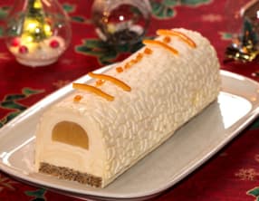 Bûche bavaroise au chocolat blanc et insert mandarine