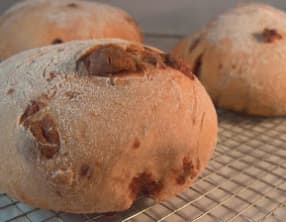 Le plein de petits pains