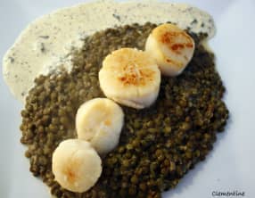 Noix de St.-Jacques et lentilles vertes du Puy, crème acidulée à la truffe