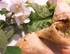 Bricks au thon et aux pommes de terre