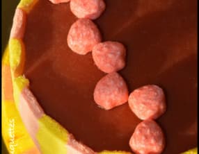 Charlotte Arlequine fraise passion