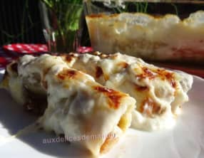 Cannelonnis aux tomates,aubergine et bœuf nappés crème épaisse et fromages