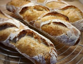 Les Baguettes présidentielles